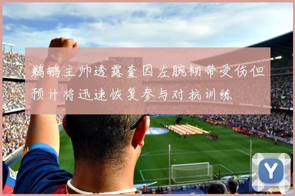 鹈鹕主帅透露奎因左腕韧带受伤但预计将迅速恢复参与对抗训练