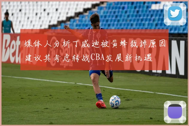 媒体人分析丁威迪被黄蜂裁掉原因建议其考虑转战CBA发展新机遇