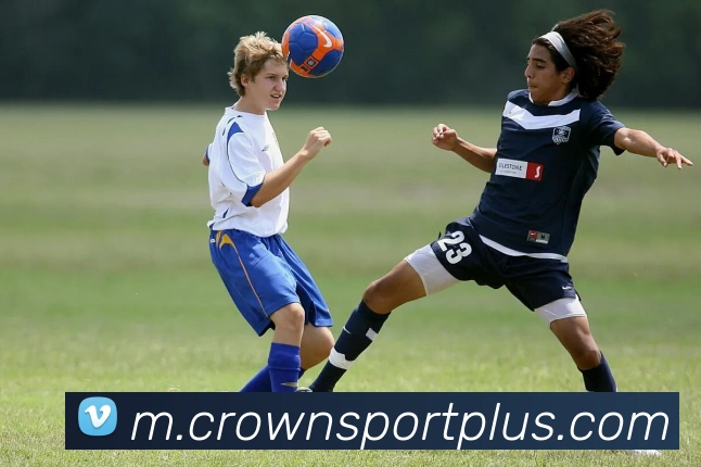 App Interface Preview